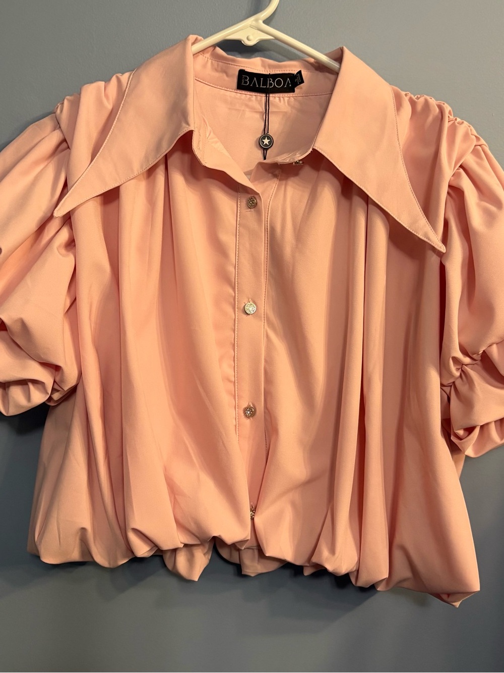 Pink Puff Balloon-Sleeve Blouse